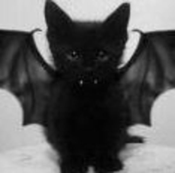 blackula
